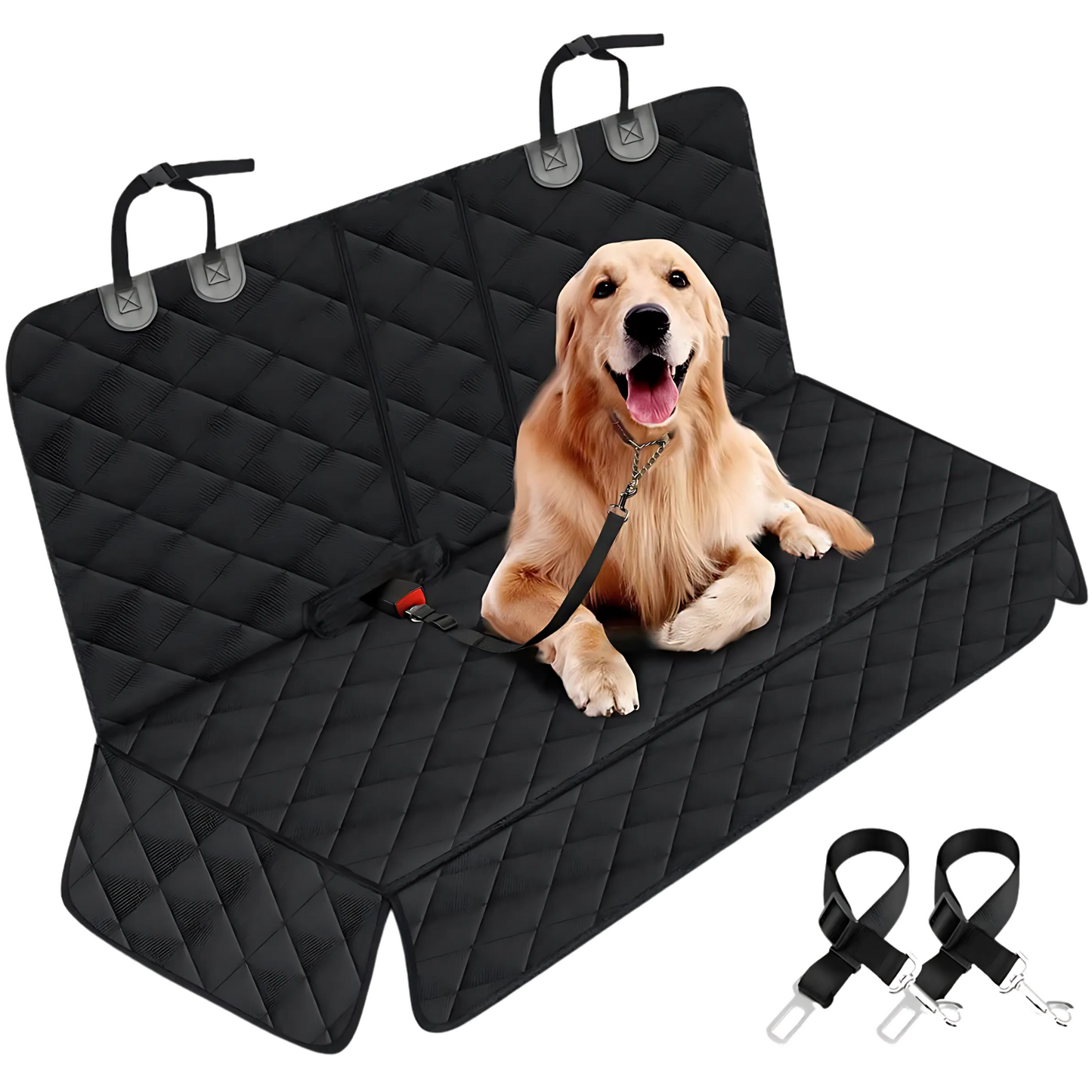 DoggieRide